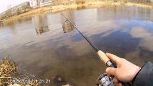 Река Миасс, рыбалка для начинающих спиннингистов часть1