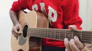 Senorita - Acoustic Guitar Tabs Cover | AshesOnFire