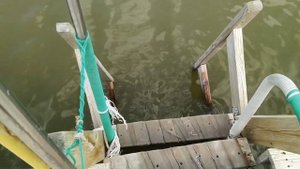Обзор на базу отдыха ЛЕСНОЕ ОЗЕРО