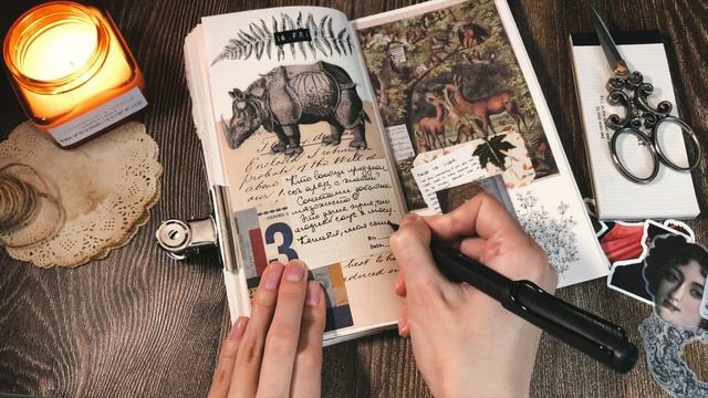 Украшаю личный дневник наклейками // Journal With Me // No Talking смотреть онлайн