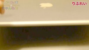 初代MacBook Pro？！「MacBook Pro Early2006がやってきた-その1」【early 2006】【しらたま】