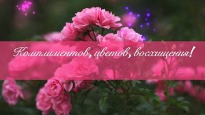 Красивое поздравление женщине с Днём Рождения!