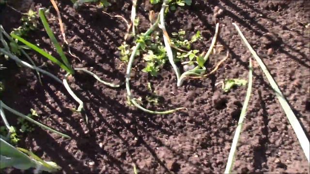 VLOG:НА ДАЧЕ ВСЕГДА МНОГО ДЕЛ. смотреть онлайн