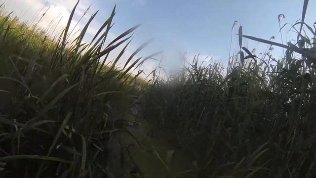 Заросшее русло Ворсклы. Часть 4 смотреть онлайн