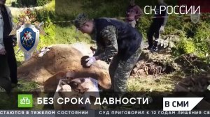 "ЧП" НТВ - Массовые убийства жителей Смоленской области в годы войны признаны геноцидом