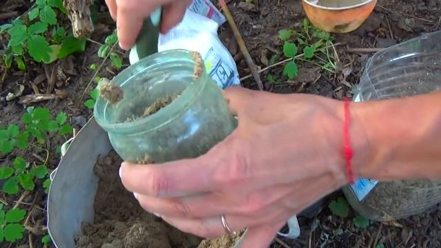 Залили бетоном яблоню. Как Лечить Дупло в Яблоне. Лечим Яблоню. 31 серия смотреть онлайн