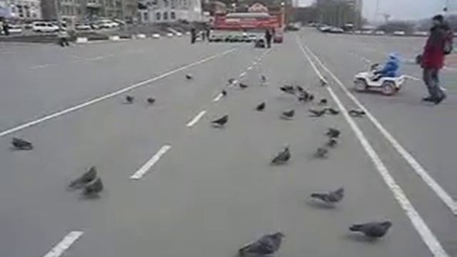 CASIO EX-FH100 смотреть онлайн