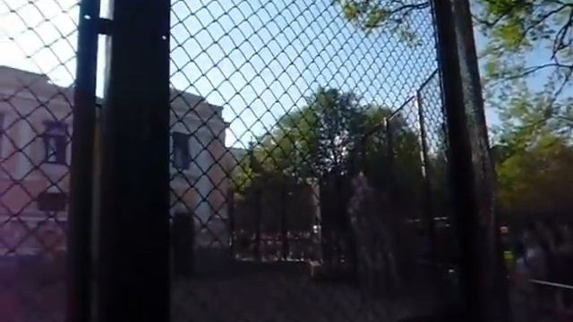 Писатель Сергей Царапкин в зоопарке созерцает жирафа (Москва 05.2016) смотреть онлайн