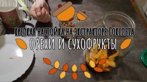 Настойка из орехов и сухофруктов на экстракторе Сокслета