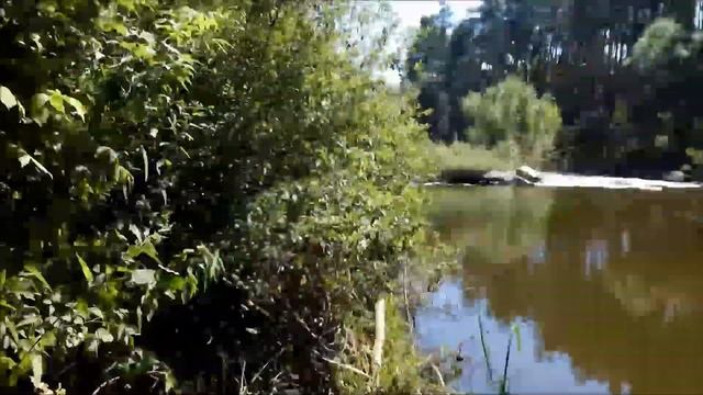 Ловля хищника (щуки, судака, окуня) на перекате смотреть онлайн