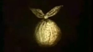 Ёжик в тумане - Йожик в кумаре.avi