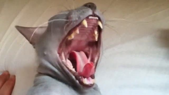 Крепкий сон смотреть онлайн