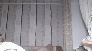 КУПИЛА НОВУЮ АШКУ ?