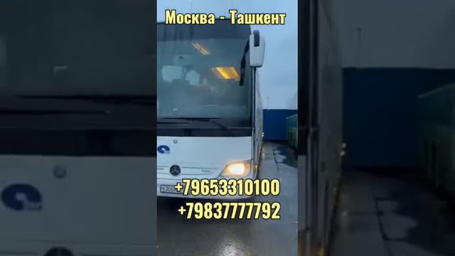 срочно Сегодня москва-ташкент автобус санкт-петербург-ташкент автобус прямой рейс+79680203131 смотреть онлайн
