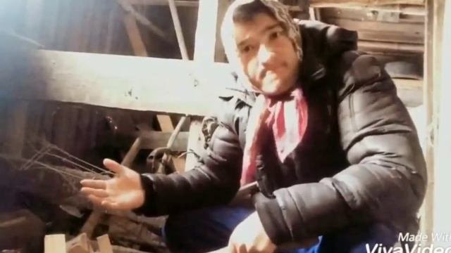 Приколы дрова)))