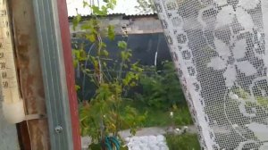 Антимаскитная сетка на дверь своими руками Лайфхак!