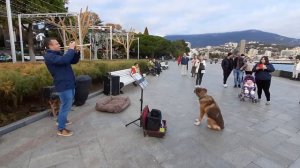 Ялта#Любовь нечаянно нагрянет# Виктор Малиновский