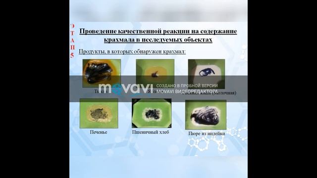 Гурылёва Нина. Февральская естественнонаучная программа Сириус смотреть онлайн