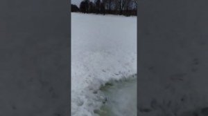 ловим рыбу сачком