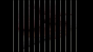 куплю мясо кролика цена +за 1 кг