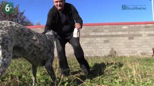 Средство против бактерий, вирусов и грибов