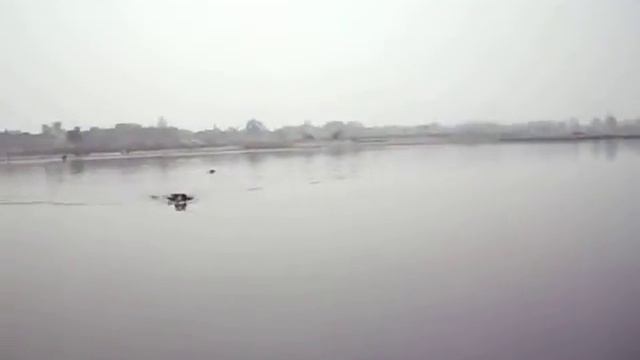 Река Ямуна. смотреть онлайн