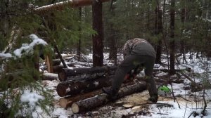 BUILD A WARM LOG CABIN IN 24 HOURS