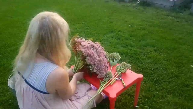 Флорист и на даче флорист!