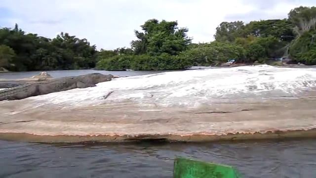 Крокодилы смотреть онлайн