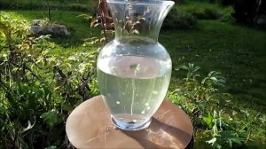 РОДНИК НА САДОВОМ УЧАСТКЕ