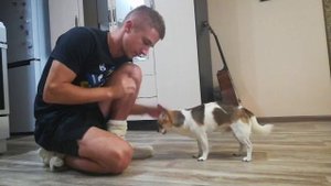 Как научить собаку держать в зубах предметы (подробное описание)