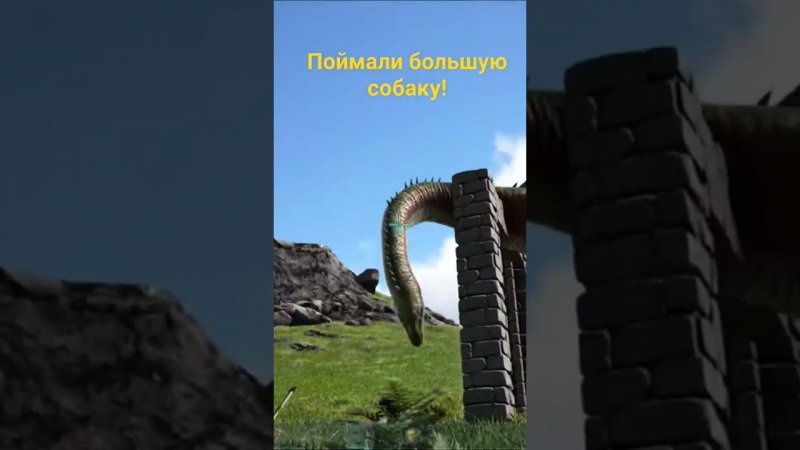 Поймали большую собаку в ARK: Survival Evolved #shortsvideo #shortvideo # short #shorts