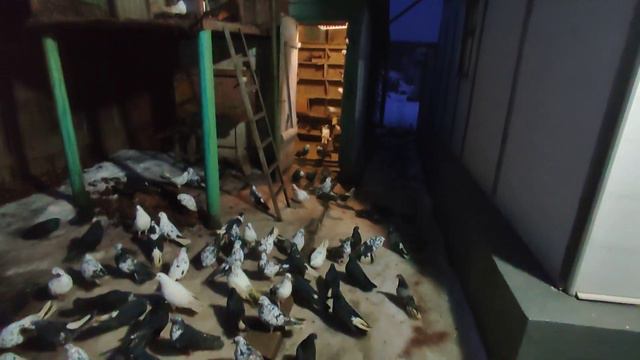 Вечером после работы! смотреть онлайн