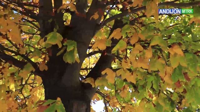 ХОНОБОД ( СОВЕТАБАД ) - ШВЕЙЦАРИЯ УЗБЕКИСТАНА, НАШ КРАЙ. 2022. смотреть онлайн