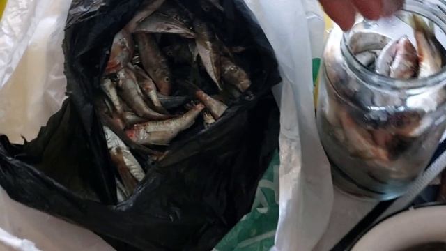 Рыбный лайфхак: чтобы после заморозки рыба оставалась, как свежая смотреть онлайн