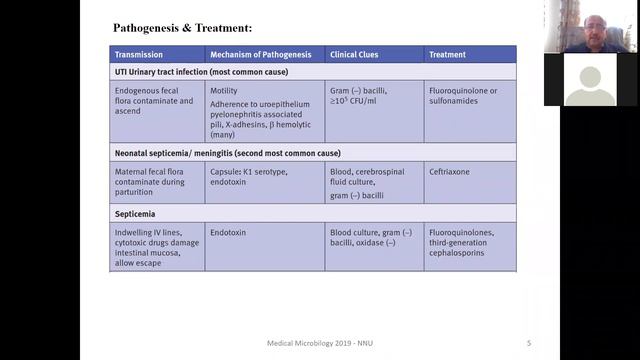 Escherichia coli смотреть онлайн