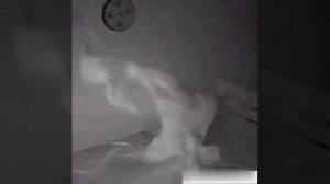 Не знаю как вы, но я теперь спать не смогу..?