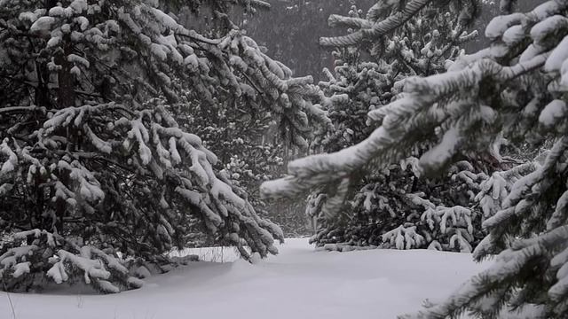 22.12.2023 День Зимнего солнцестояния: самое мощное и магическое время, чтобы загадать желание