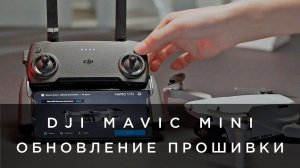 DJI Mavic Mini - Обновление прошивки (на русском).mp4