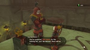 We Played Through Tears of the Kingdom as a YIGA