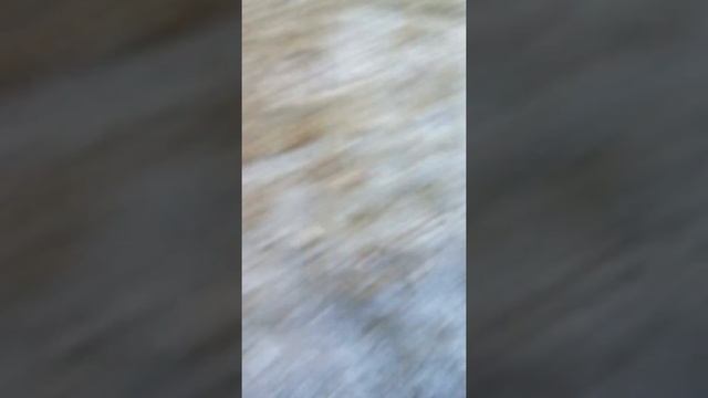 Буржуйка из газового баллона. смотреть онлайн