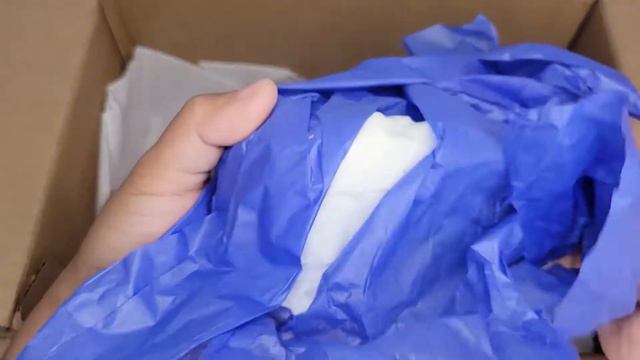 #74 I WON KOREAN SUCCULENTS ON INSTAGRAM! UNBOXING VARIEGATED COTYLEDON ORBICULATA смотреть онлайн