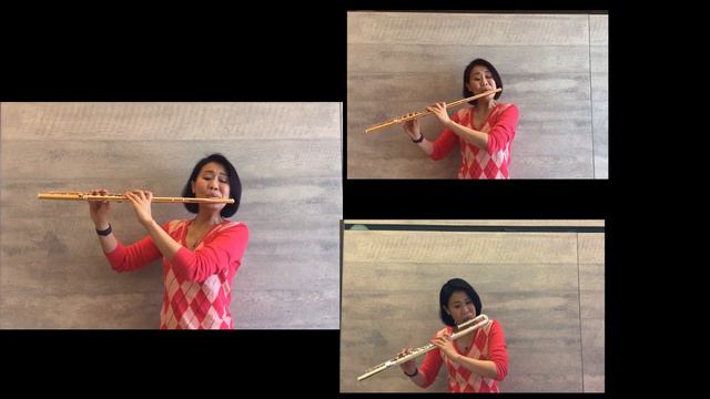 Reinecke Undine Sonata 3rd Movement смотреть онлайн