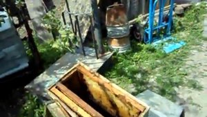 Какие рамки ставить в роевые ловушки