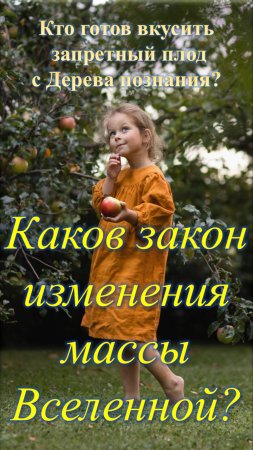 Каков закон изменения массы нашей Вселенной?