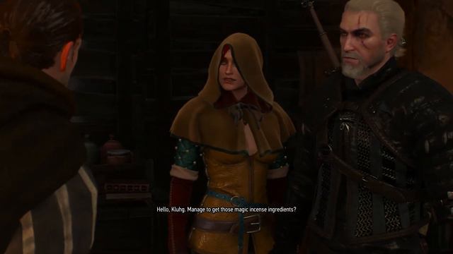 The Witcher 3 Gameplay Walkthrough Part 16 Triss Merigold