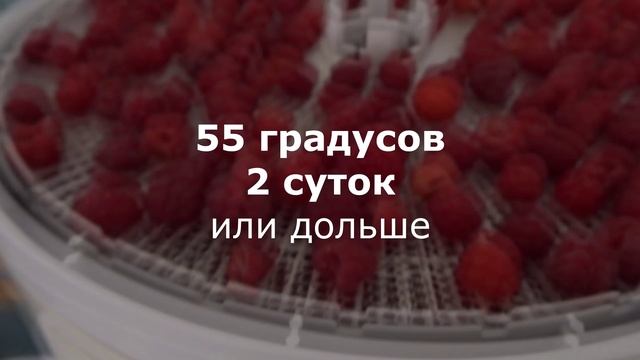 СУХАЯ МАЛИНА ИЗ УМНОЙ СУШИЛКИ - УНИКАЛЬНЫЙ ПРОДУКТ