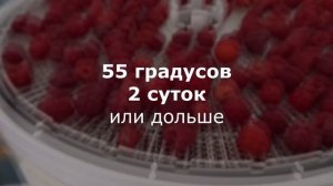 СУХАЯ МАЛИНА ИЗ УМНОЙ СУШИЛКИ - УНИКАЛЬНЫЙ ПРОДУКТ