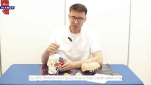 Анатомия для косметологов, индивидуальное обучение на кадаверном материале (теория)