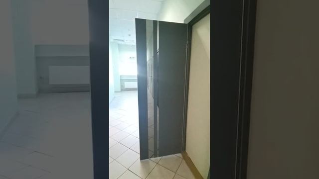 Двери лофт в цвете Графит Premium со скрытыми петлями смотреть онлайн